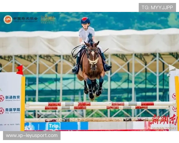 全国青少年马术系列赛开赛，多名骑手表现成熟