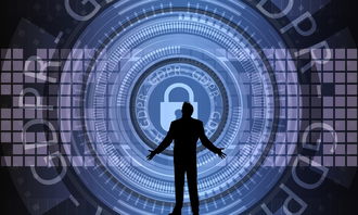 中国篮球联赛赛事安全管理优化与执行研究，篮球赛事安全风险